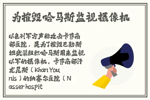菠萝视频高清版在线观看